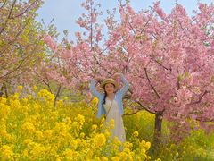 -古柏渡飞黄旅游区