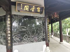 -上海佘山国家森林公园天马山园