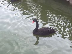 -无锡动物园·太湖欢乐园