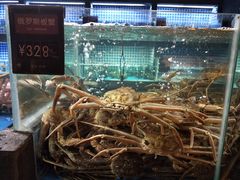 水产区-徐记海鲜(大明宫|北二环店)