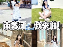 -南戴河国际娱乐中心