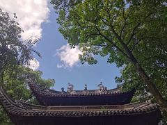 -天一阁博物院