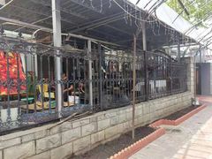 -大海别墅民宿农家院(十渡店)