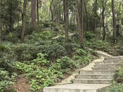 -大金鹰园