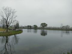 -良渚古城遗址公园