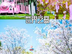 -橘子洲景区
