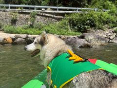 -安吉龙王山峡谷漂流