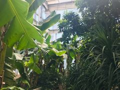 -石家庄市植物园