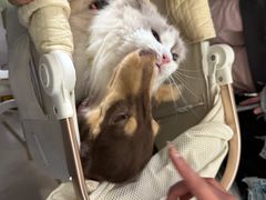 -义乌之心城市生活广场