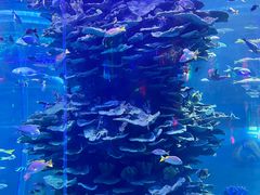 -泉城欧乐堡海洋极地世界