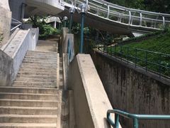 -香港大学