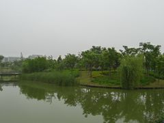 -尚贤河湿地
