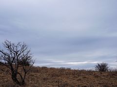 -秦岭风景区