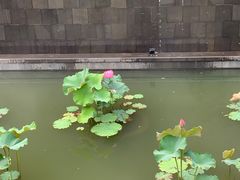 -东钱湖旅游度假区