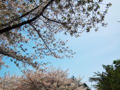 -白塘生态植物园