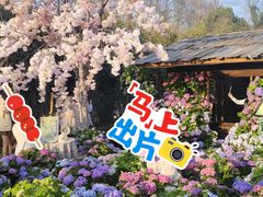 -HERRE·FARM 赫尔露营农场·团建聚会包场