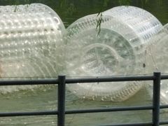 -莲湖公园