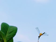 -西北湖绿化广场