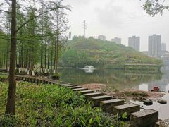 -重庆彩云湖湿地公园