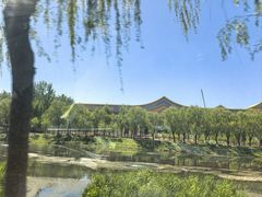 -尚庄度假村·庭台树下·户外烧烤·团建CS·轰趴营地(上庄水库店)