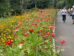 -长春公园(普阳街道)