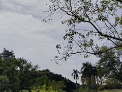 -云溪植物园
