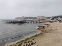 -北戴河碧螺塔海上酒吧公园