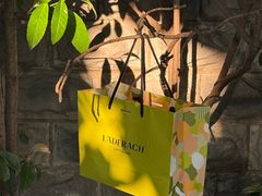 -Laderach 莱德拉(上海环贸iapm店)