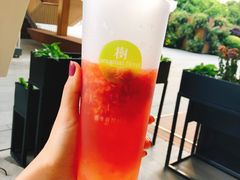 -树夏(鹭洲里店)
