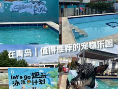 -趣玩宠物乐园寄养训犬训狗游泳池