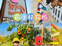 -前小桔亲子创意农场·草莓采摘·露营烧烤