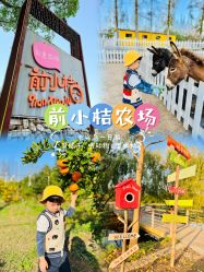 -前小桔亲子创意农场·草莓采摘·露营烧烤