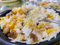 -煲来饱去冷水鱼