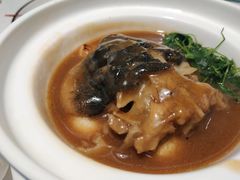 唐宫鱼唇-肆月河豚·新淮扬(金融街店)