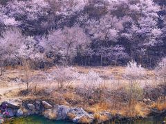 -碓臼峪自然风景区