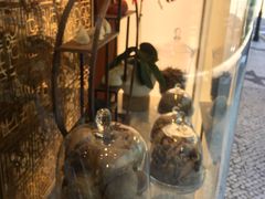 -中侨参茸(殷皇子大马路店)