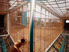 -季高兔窝窝亲子园(上海薰衣草公园店)