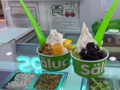 -Salud撒露欧洲冻酸奶(五道口购物中心店)