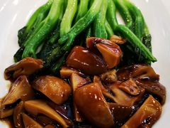 芥蓝蘑菇-晋阳饭庄(虎坊桥店)