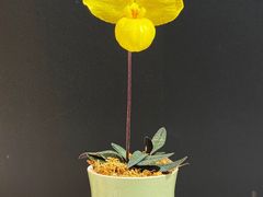 -北京植物园-展览温室