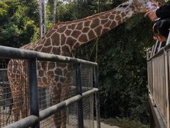 -泉州海丝野生动物世界