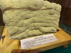 -观唐（国际）度假村温泉