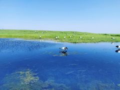 -黑龙江扎龙生态旅游区