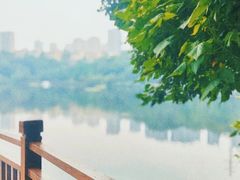 -重庆彩云湖湿地公园