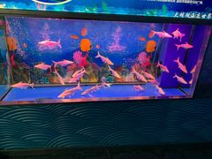 -大明湖海底世界