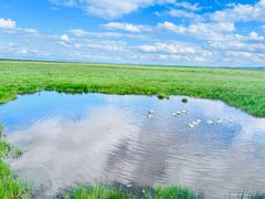 -花湖风景区
