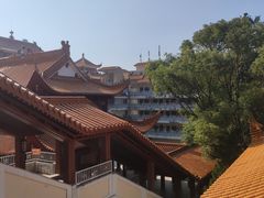 -深圳仙湖植物园