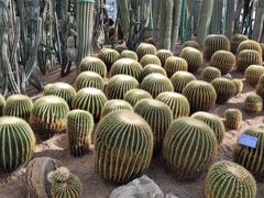 -南山植物园