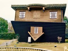 -金山农民画村-枫泾波兰倒置屋