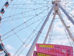 -顾村公园